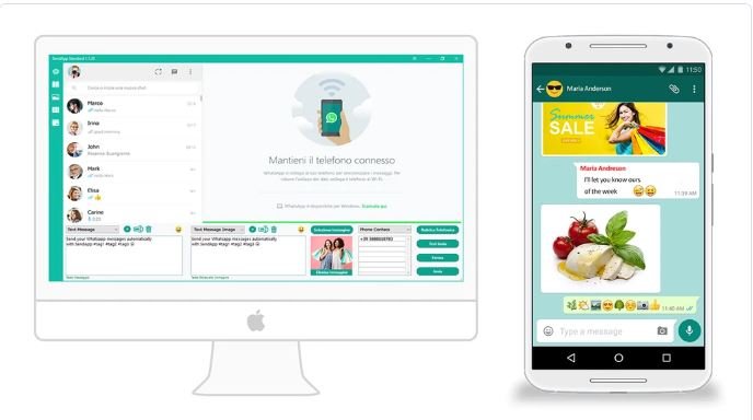 Sendapp Professional Lifetime Deal Review: Ultimate Messaging Solution